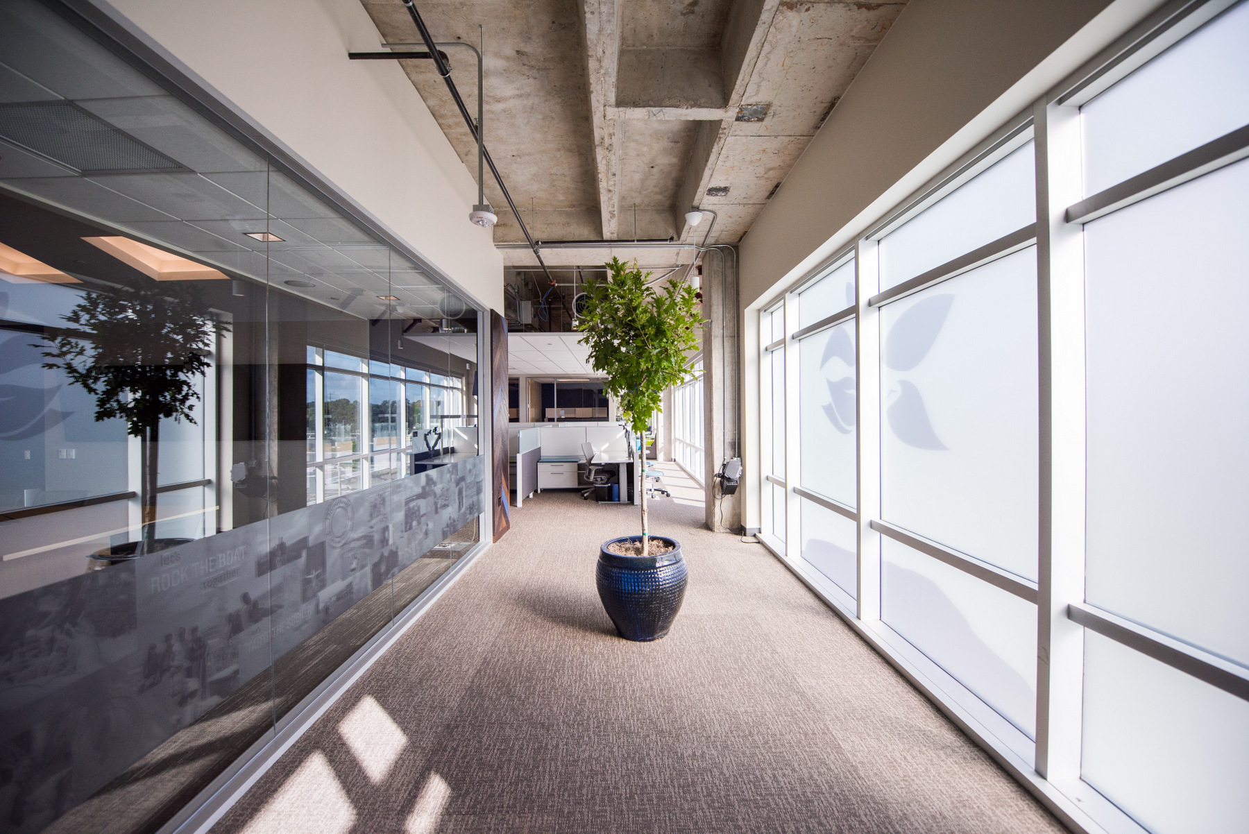 合肥2000平方现代简约办公室装修案例分析(图3) 国外办公 (8).jpg