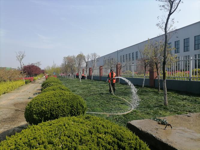 安徽皖新电机有限公司厂区园林绿化养护改造工程(图3) 1 副本.jpg